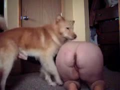 A plump wench who is constantly lusting for knobs fulfills her cravings by zoophilizing K9s.